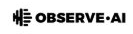 observe ai
